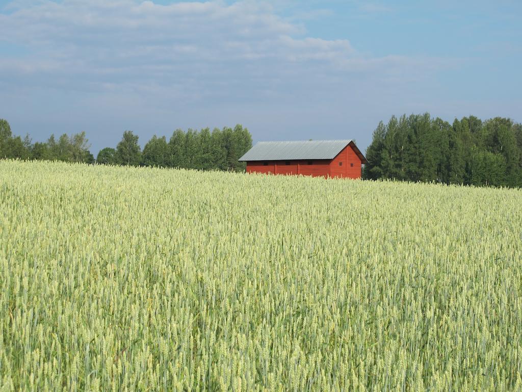 Wij Traedgardar Ockelbo Exterior foto